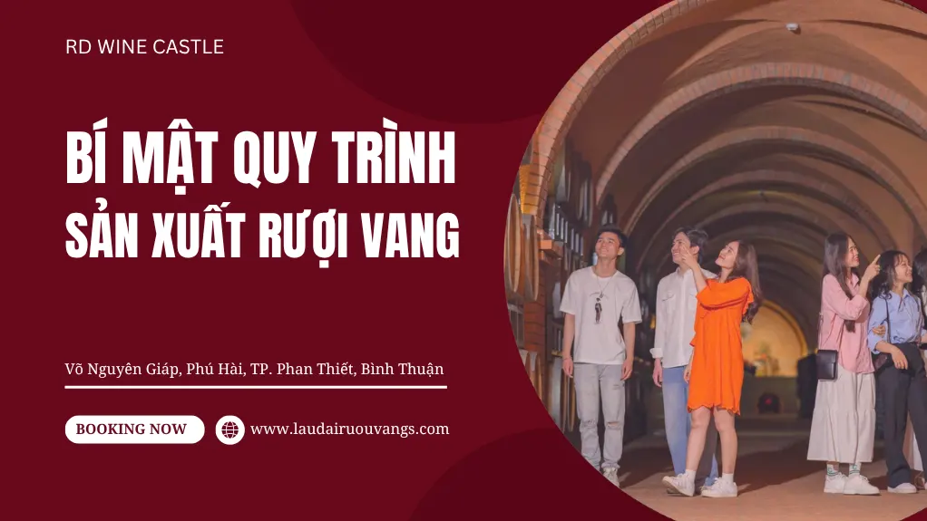 Bí mật quy trình sản xuất Rượu vang